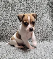 processed/e0a51ef3-832b-4eeb-b813-1f9ff0eb02f4/listing/777500a5-0555-4e23-ad88-4dfa83f22326/5fd4a66c-0edf-49e9-87cc-958ade39da6f