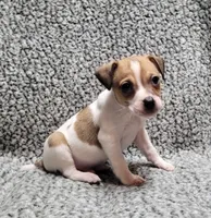 processed/e0a51ef3-832b-4eeb-b813-1f9ff0eb02f4/listing/a8c80a35-5bcd-4ce9-a3c0-af0fdda5e1e1/06ab3714-6dd6-4ddd-a297-68f0001112f2