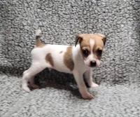 processed/e0a51ef3-832b-4eeb-b813-1f9ff0eb02f4/listing/a8c80a35-5bcd-4ce9-a3c0-af0fdda5e1e1/78d08def-538d-4879-9172-f8080bb050b8