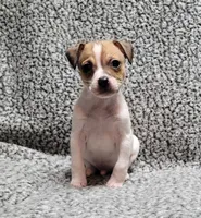 processed/e0a51ef3-832b-4eeb-b813-1f9ff0eb02f4/listing/a8c80a35-5bcd-4ce9-a3c0-af0fdda5e1e1/965eca5f-2696-45e4-97db-4edd2a3ae3f2