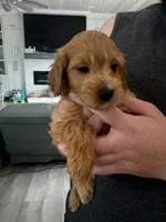 processed/e0ab9576-3ebf-43d4-a1a2-ba390ca4ec64/listing/fe7e8508-6896-43d1-8712-04e5ad21dc2a/657abcbf-95f9-4c37-a29f-72d2329b4545