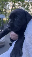 Facility photo