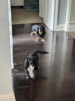 processed/e0c09ab7-e8ce-4876-8b2c-df1ce2567b92/listing/9f50246c-4708-4b4b-8edd-464f0f914fda/bdccb04c-077b-43f7-bb2d-45e5c0c83638