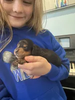 processed/e0c09ab7-e8ce-4876-8b2c-df1ce2567b92/listing/9f50246c-4708-4b4b-8edd-464f0f914fda/c8560b89-0568-4d6c-ad17-f2b3f265560f