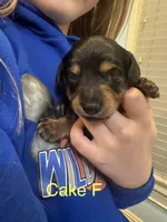 processed/e0c09ab7-e8ce-4876-8b2c-df1ce2567b92/listing/c7e39e1e-8e70-4eaf-a3a2-ac5cae6c3051/312623b7-c845-461e-b63a-4c0fb4ab686f