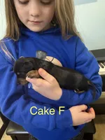 processed/e0c09ab7-e8ce-4876-8b2c-df1ce2567b92/listing/c7e39e1e-8e70-4eaf-a3a2-ac5cae6c3051/dba33336-6604-4440-8ac0-53ba73e6ad68