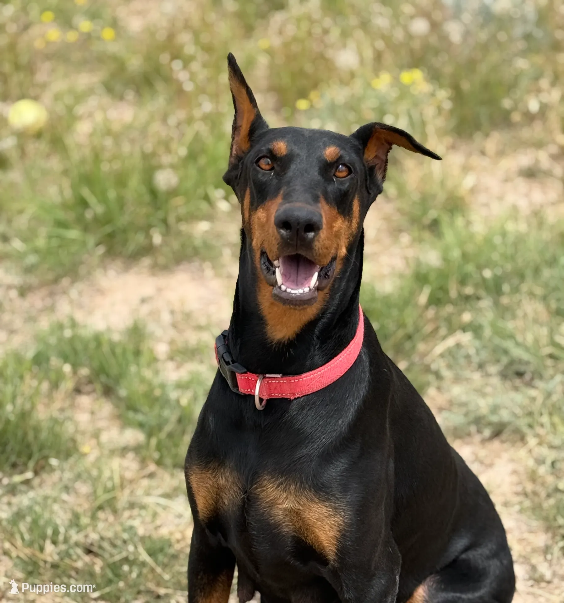 processed/e0c19280-62ac-4dc0-8340-50ff1d9dc155/listing/aa7288ee-7cb7-4c7a-9702-c13c62927e2a/debbacda-a29c-4e92-a5a7-00cc8e36e8ee