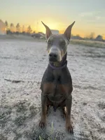 processed/e0c19280-62ac-4dc0-8340-50ff1d9dc155/listing/aa7288ee-7cb7-4c7a-9702-c13c62927e2a/ffc92791-e514-4de1-8ccb-0a4bedcd08d4