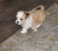 processed/e0c5a0c8-e30e-4e9d-96c6-bc98e77f2b2d/listing/038f9fe4-8757-436f-9b9a-ee01160b881b/4eee7b08-7f3f-41fe-9fd7-f5b9ff848d9c