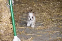 processed/e0c5a0c8-e30e-4e9d-96c6-bc98e77f2b2d/listing/038f9fe4-8757-436f-9b9a-ee01160b881b/a1ac939d-b61c-452d-b052-2547143295f2