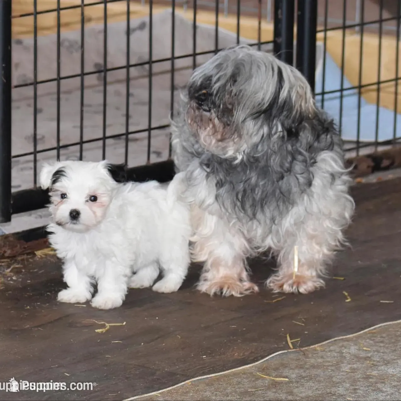 processed/e0c5a0c8-e30e-4e9d-96c6-bc98e77f2b2d/listing/744cbdaf-7a9d-4a8d-812d-0b60ce53805c/5b8afe7b-57ab-44fd-acf2-528e20d6c7b1