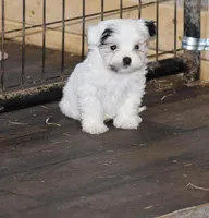 processed/e0c5a0c8-e30e-4e9d-96c6-bc98e77f2b2d/listing/744cbdaf-7a9d-4a8d-812d-0b60ce53805c/85eb0a5b-4be9-4453-808a-ed5fd37a3abc