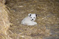 processed/e0c5a0c8-e30e-4e9d-96c6-bc98e77f2b2d/listing/744cbdaf-7a9d-4a8d-812d-0b60ce53805c/a47590de-fd54-4708-bc06-e7df5a65489a