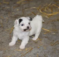 processed/e0c5a0c8-e30e-4e9d-96c6-bc98e77f2b2d/listing/744cbdaf-7a9d-4a8d-812d-0b60ce53805c/c4c84b9b-2752-4086-9beb-8cb0acd27da1