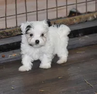 processed/e0c5a0c8-e30e-4e9d-96c6-bc98e77f2b2d/listing/744cbdaf-7a9d-4a8d-812d-0b60ce53805c/d58e97ed-f8d2-48c6-91dc-b315c66ea938