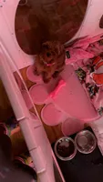 D.W., a female Shihpoo and Poodle - Toy  for sale in Hephzibah, GA – 1 of 5