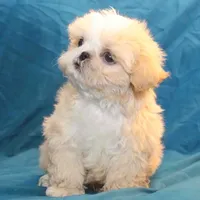 processed/e0cc223b-e5e2-4270-86ec-14351bf2b779/facility/2a841a5e-f63e-46af-9664-c2a4430ea97c