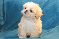 processed/e0cc223b-e5e2-4270-86ec-14351bf2b779/facility/2a841a5e-f63e-46af-9664-c2a4430ea97c