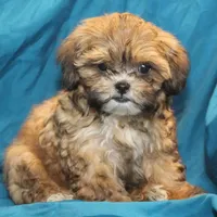 processed/e0cc223b-e5e2-4270-86ec-14351bf2b779/facility/3d4748fd-e6fc-4a0d-8c50-7e27b8b9bf96