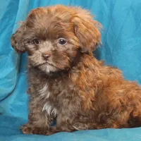 processed/e0cc223b-e5e2-4270-86ec-14351bf2b779/facility/3f60ec38-1692-4327-bb44-c4edaa0782b8