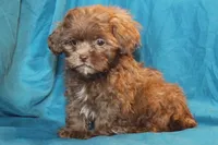 processed/e0cc223b-e5e2-4270-86ec-14351bf2b779/facility/3f60ec38-1692-4327-bb44-c4edaa0782b8