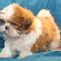 processed/e0cc223b-e5e2-4270-86ec-14351bf2b779/facility/6acb42d0-183c-48bb-a64b-0aec52a34cb5