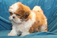 processed/e0cc223b-e5e2-4270-86ec-14351bf2b779/facility/6acb42d0-183c-48bb-a64b-0aec52a34cb5