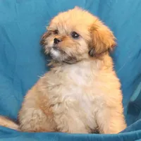 processed/e0cc223b-e5e2-4270-86ec-14351bf2b779/facility/a3126823-4c6a-458e-a0e2-0aff3b41c001