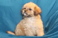 processed/e0cc223b-e5e2-4270-86ec-14351bf2b779/facility/a3126823-4c6a-458e-a0e2-0aff3b41c001