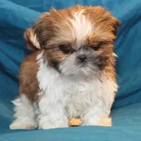 processed/e0cc223b-e5e2-4270-86ec-14351bf2b779/facility/bbd3d62f-d58e-45b8-959b-79ecf7dad8a5