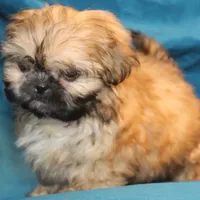 processed/e0cc223b-e5e2-4270-86ec-14351bf2b779/facility/c74dba12-361f-4b60-b3eb-d760eba16ac2