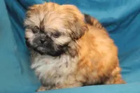 processed/e0cc223b-e5e2-4270-86ec-14351bf2b779/facility/c74dba12-361f-4b60-b3eb-d760eba16ac2