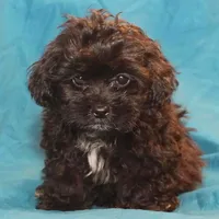 processed/e0cc223b-e5e2-4270-86ec-14351bf2b779/facility/e1057692-8cd3-4c9d-a72b-e585787fa4cb