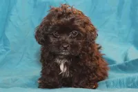 processed/e0cc223b-e5e2-4270-86ec-14351bf2b779/facility/e1057692-8cd3-4c9d-a72b-e585787fa4cb