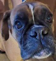 processed/e0cc223b-e5e2-4270-86ec-14351bf2b779/listing/121abce1-e3fd-487d-a56e-508ecb8122db/43e17445-fca7-4dc3-842a-88d843ee5de0