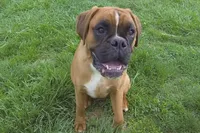 processed/e0cc223b-e5e2-4270-86ec-14351bf2b779/listing/121abce1-e3fd-487d-a56e-508ecb8122db/edeb172b-1cfa-44bf-8aad-9adbd4493ef2