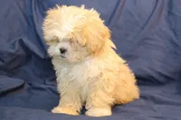 processed/e0cc223b-e5e2-4270-86ec-14351bf2b779/listing/33973792-e389-45e8-aae8-5e9fbcf895fa/0c75cff3-f090-4909-ab7b-d87f8c38a857