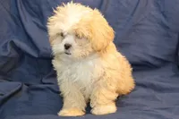 processed/e0cc223b-e5e2-4270-86ec-14351bf2b779/listing/33973792-e389-45e8-aae8-5e9fbcf895fa/9501089d-2010-4c71-a05e-18cbbf874d79