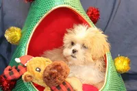 processed/e0cc223b-e5e2-4270-86ec-14351bf2b779/listing/33973792-e389-45e8-aae8-5e9fbcf895fa/b9393dba-05d2-4313-ad90-2ee4a8d7fea6