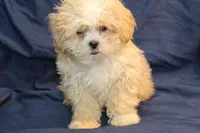 processed/e0cc223b-e5e2-4270-86ec-14351bf2b779/listing/33973792-e389-45e8-aae8-5e9fbcf895fa/eeee528a-0ade-4d0a-8021-822a5be9f889