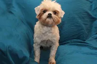 processed/e0cc223b-e5e2-4270-86ec-14351bf2b779/listing/37fa65d4-989b-475b-b1eb-1d5acb67e21b/428b1593-6f35-41d7-b807-e6a55fe35fb2