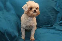 processed/e0cc223b-e5e2-4270-86ec-14351bf2b779/listing/37fa65d4-989b-475b-b1eb-1d5acb67e21b/c867bc2f-969a-4d6a-8105-95f7cb54dd56