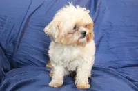 processed/e0cc223b-e5e2-4270-86ec-14351bf2b779/listing/37fa65d4-989b-475b-b1eb-1d5acb67e21b/e16bf44f-81fa-418b-903a-8be780f2d323