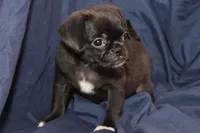 processed/e0cc223b-e5e2-4270-86ec-14351bf2b779/listing/3963352a-51a3-4c1b-956f-ecd4447b679c/3335d185-27a2-42b8-94f4-a861dd15e773