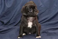 processed/e0cc223b-e5e2-4270-86ec-14351bf2b779/listing/3963352a-51a3-4c1b-956f-ecd4447b679c/3931e5db-1148-4c30-bc6d-c0c4f1d59240