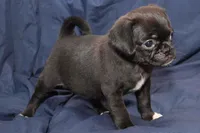 processed/e0cc223b-e5e2-4270-86ec-14351bf2b779/listing/3963352a-51a3-4c1b-956f-ecd4447b679c/651190e3-f091-4a41-822e-3add4c2e6a61