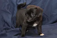 processed/e0cc223b-e5e2-4270-86ec-14351bf2b779/listing/3963352a-51a3-4c1b-956f-ecd4447b679c/79a0aa3f-9bbf-4631-9f71-b102030c9dde