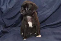 processed/e0cc223b-e5e2-4270-86ec-14351bf2b779/listing/3963352a-51a3-4c1b-956f-ecd4447b679c/8dc02102-a042-4cdd-9617-28d08c8b1e1d