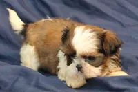 processed/e0cc223b-e5e2-4270-86ec-14351bf2b779/listing/3b74b4ba-6d23-4e9c-99bb-239f62b6ee77/0b22c965-cc76-48b1-a707-93798b4b227d