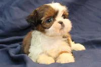 processed/e0cc223b-e5e2-4270-86ec-14351bf2b779/listing/3b74b4ba-6d23-4e9c-99bb-239f62b6ee77/4b7f76e8-2d14-4697-b7eb-9d8c5e3868c7